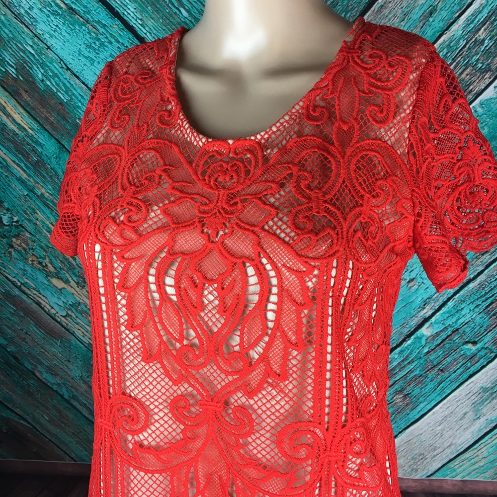Margot Lace Dress From Stitch Fix - Picture 8 of 8